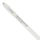 Noxion Tube LED T5 Avant Extreme (Direct 230V) High Output 26W 3550lm - 830 Blanc Chaud | 145cm - &Eacute;quivalent 49W