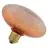 Osram Decor LED Lamp Oranje Glas E27 3.5W 300lm - 827 Zeer Warm Wit | Vervangt 25W